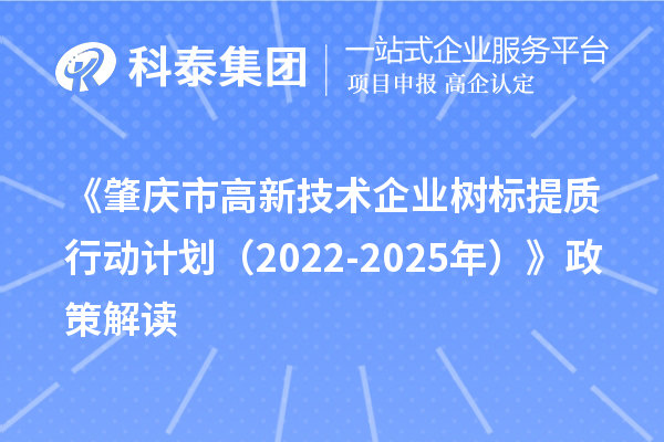 《肇慶市高新技術(shù)企業(yè)樹標(biāo)提質(zhì)行動計劃(2022-2025年)》政策解讀
