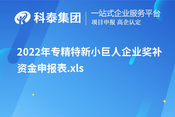 2022年專精特新小巨人企業獎補資金申報表.xls