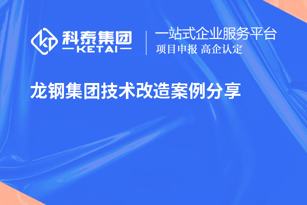 龍鋼集團(tuán)<a href=http://www.duckwijs.com/fuwu/jishugaizao.html target=_blank class=infotextkey>技術(shù)改造</a>案例分享