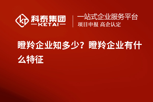 瞪羚企業(yè)知多少?瞪羚企業(yè)有什么特征