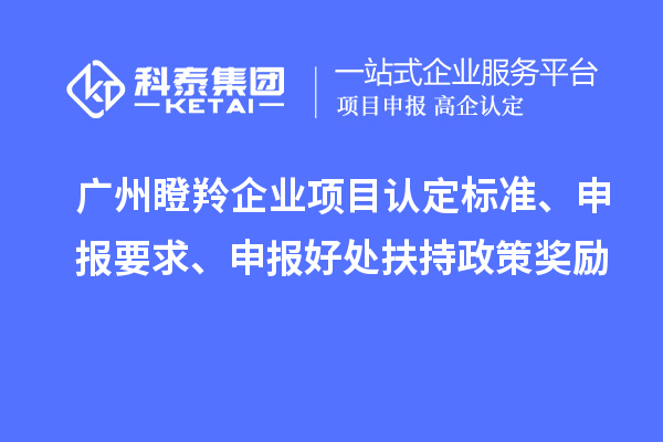 廣州瞪羚企業(yè)項目認(rèn)定標(biāo)準(zhǔn)、申報要求、申報好處扶持政策獎勵