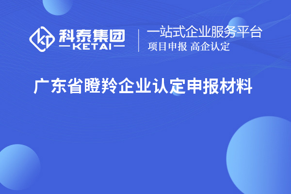 廣東省<a href=http://www.duckwijs.com/fuwu/dengling.html target=_blank class=infotextkey>瞪羚企業認定</a>申報材料