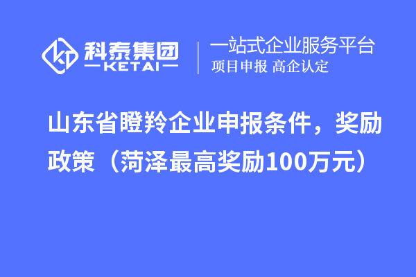 山東省瞪羚企業(yè)申報(bào)條件，獎(jiǎng)勵(lì)政策（菏澤最高獎(jiǎng)勵(lì)100萬元）