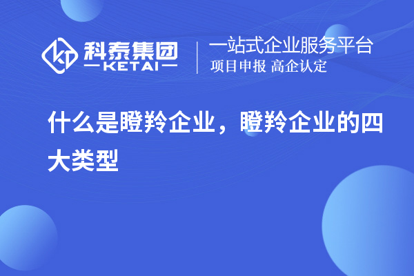 什么是瞪羚企業,瞪羚企業的四大類型