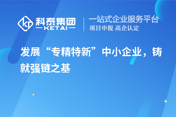 發展“專精特新”中小企業,鑄就強鏈之基