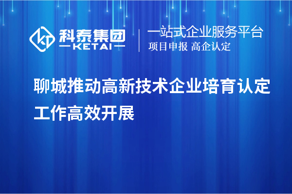 聊城推動高新技術企業培育認定工作高效開展