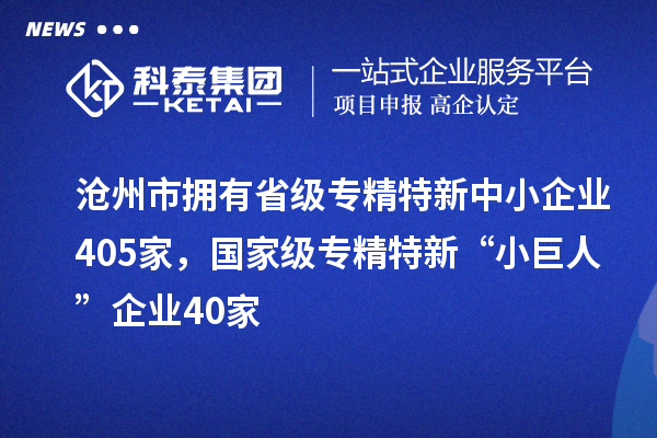 滄州市擁有省級(jí)專精特新中小企業(yè)405家,國(guó)家級(jí)專精特新“小巨人”企業(yè)40家