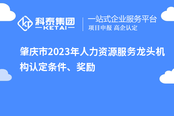 肇慶市2023年人力資源服務龍頭機構認定條件、獎勵