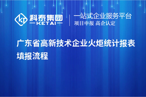 廣東省高新技術企業(yè)火炬統(tǒng)計報表填報流程