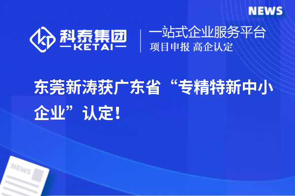 東莞新濤獲廣東省“專精特新中小企業”認定!