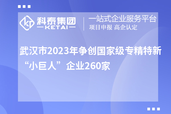武漢市2023年?duì)巹?chuàng)國家級專精特新“小巨人”企業(yè)260家