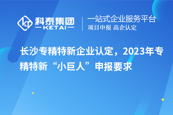 長(zhǎng)沙專精特新企業(yè)認(rèn)定，2023年專精特新“小巨人”申報(bào)要求