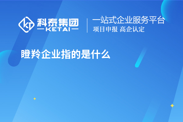 瞪羚企業指的是什么