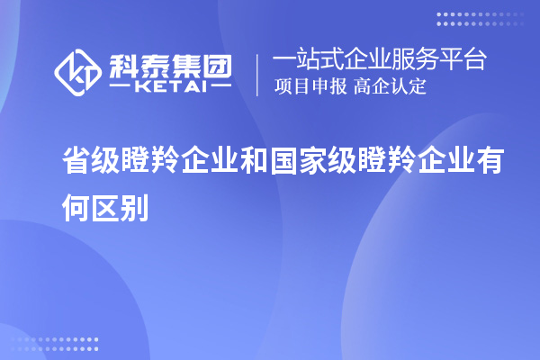 省級瞪羚企業和國家級瞪羚企業有何區別
