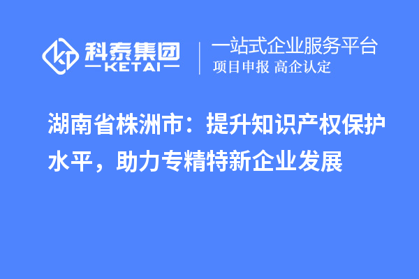 湖南省株洲市：提升知識產權保護水平，助力專精特新企業發展