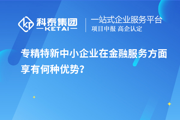 專精特新中小企業在金融服務方面享有何種優勢?