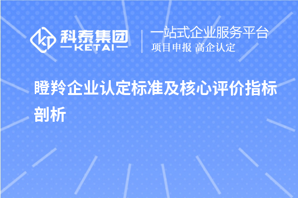 <a href=http://www.duckwijs.com/fuwu/dengling.html target=_blank class=infotextkey>瞪羚企業認定</a>標準及核心評價指標剖析