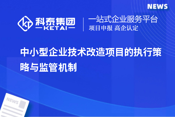 中小型企業技術改造項目的執行策略與監管機制