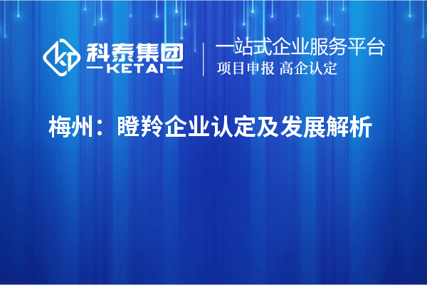 梅州:瞪羚企業認定及發展解析