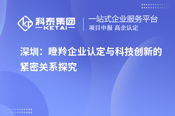 深圳：瞪羚企業(yè)認定與科技創(chuàng)新的緊密關系探究