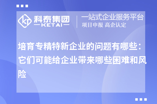 培育專精特新企業的問題有哪些:它們可能給企業帶來哪些困難和風險