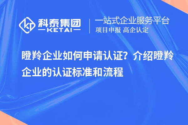 瞪羚企業(yè)如何申請(qǐng)認(rèn)證?介紹瞪羚企業(yè)的認(rèn)證標(biāo)準(zhǔn)和流程
