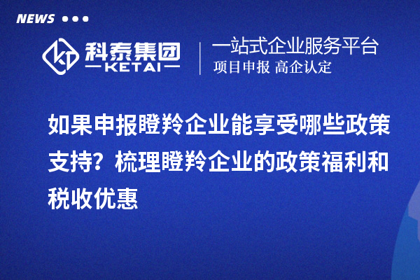 如果申報(bào)瞪羚企業(yè)能享受哪些政策支持？梳理瞪羚企業(yè)的政策福利和稅收優(yōu)惠