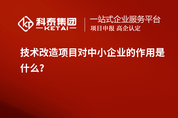 技術改造項目對中小企業的作用是什么?