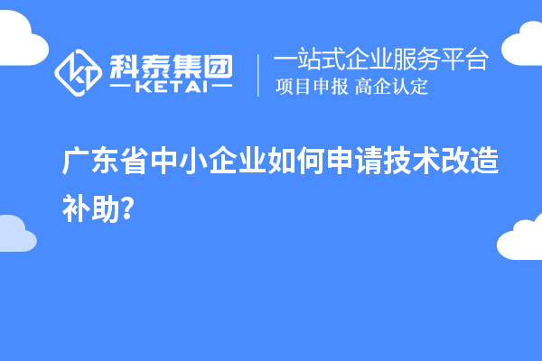 廣東省中小企業(yè)如何申請技術(shù)改造補(bǔ)助?