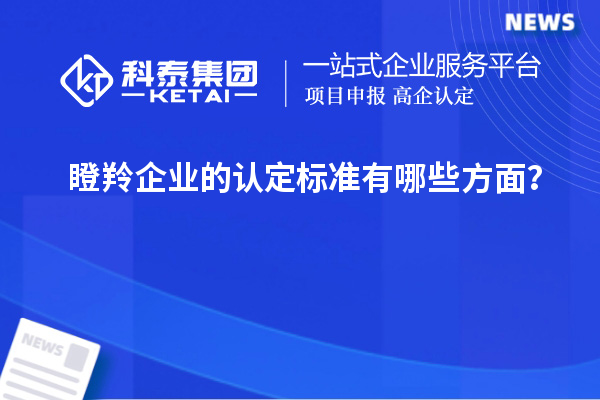 瞪羚企業(yè)的認定標準有哪些方面？