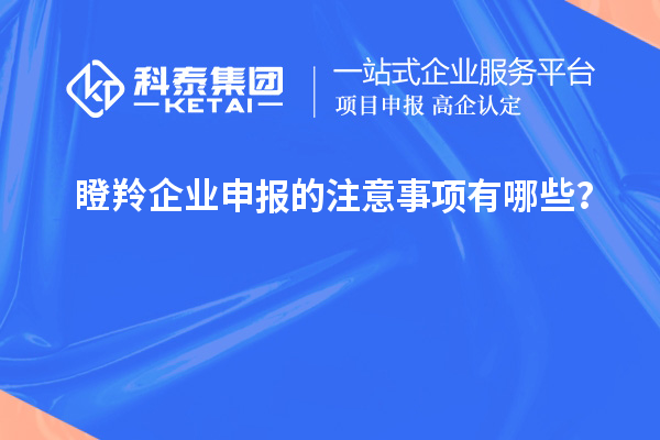 瞪羚企業申報的注意事項有哪些？