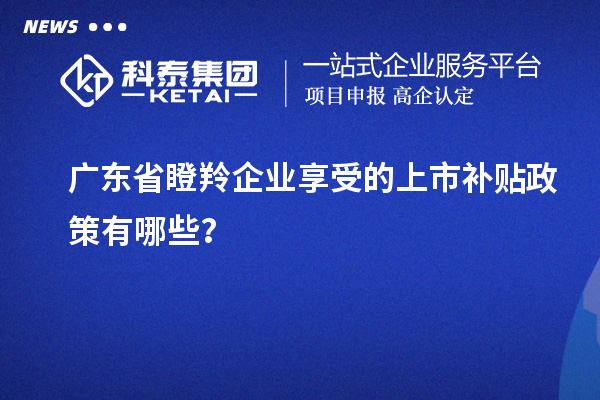 廣東省瞪羚企業享受的上市補貼政策有哪些？