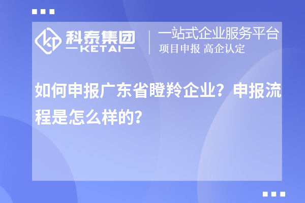 如何申報廣東省瞪羚企業？申報流程是怎么樣的？