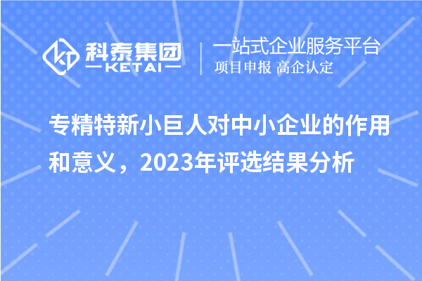 專精特新小巨人對中小企業(yè)的作用和意義,2023年評選結(jié)果分析