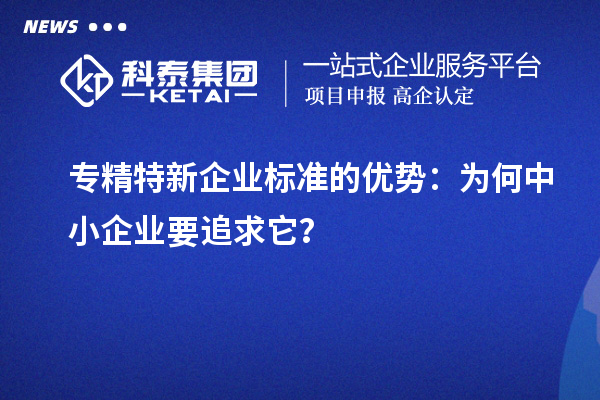專精特新企業標準的優勢:為何中小企業要追求它?