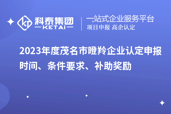 2023年度茂名市瞪羚企業認定申報時間、條件要求、補助獎勵