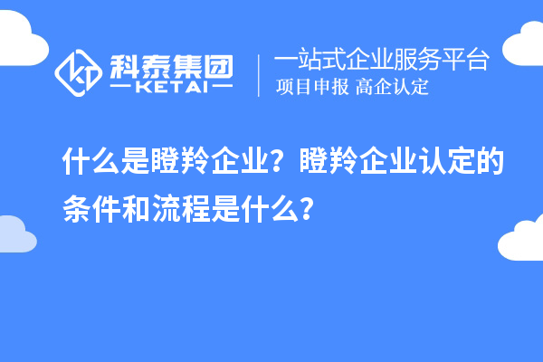 什么是瞪羚企業？<a href=http://www.duckwijs.com/fuwu/dengling.html target=_blank class=infotextkey>瞪羚企業認定</a>的條件和流程是什么？