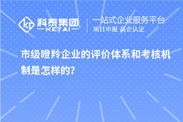 市級瞪羚企業的評價體系和考核機制是怎樣的?