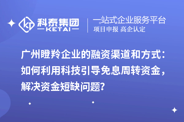 廣州瞪羚企業(yè)的融資渠道和方式:如何利用科技引導(dǎo)免息周轉(zhuǎn)資金,解決資金短缺問題?