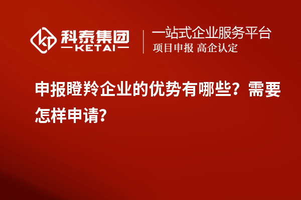 申報瞪羚企業的優勢有哪些?需要怎樣申請?