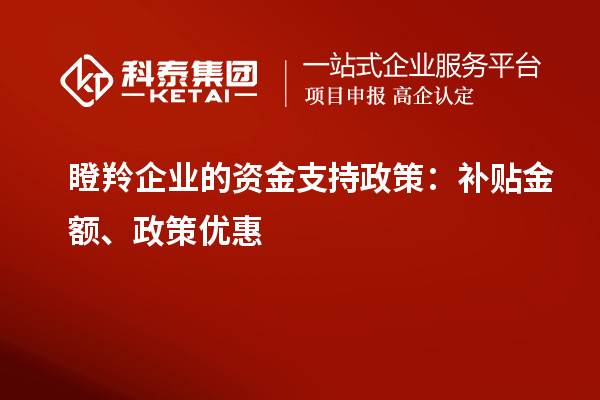 瞪羚企業的資金支持政策：補貼金額、政策優惠