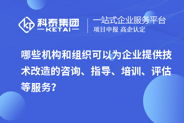 哪些機構和組織可以為企業提供技術改造的咨詢、指導、培訓、評估等服務？