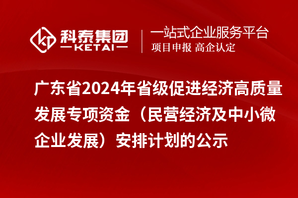廣東省2024年省級促進經(jīng)濟高質(zhì)量發(fā)展專項資金(民營經(jīng)濟及中小微企業(yè)發(fā)展)安排計劃的公示