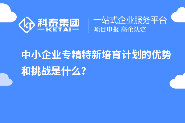 中小企業專精特新培育計劃的優勢和挑戰是什么?