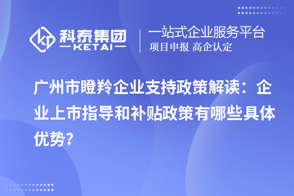 廣州市瞪羚企業(yè)支持政策解讀:企業(yè)上市指導(dǎo)和補(bǔ)貼政策有哪些具體優(yōu)勢(shì)?
