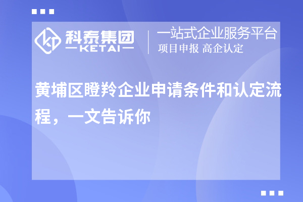 黃埔區(qū)瞪羚企業(yè)申請條件和認定流程,一文告訴你