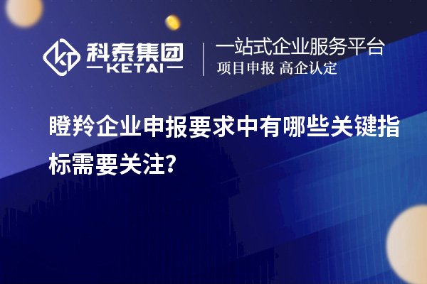瞪羚企業申報要求中有哪些關鍵指標需要關注?