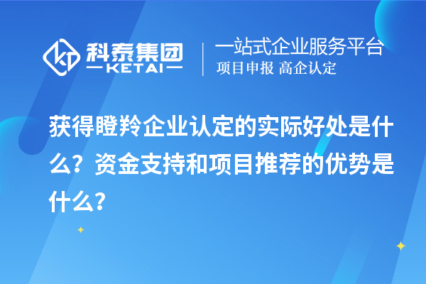 獲得瞪羚企業認定的實際好處是什么?資金支持和項目推薦的優勢是什么?