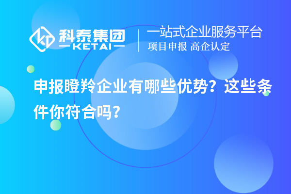 申報瞪羚企業(yè)有哪些優(yōu)勢?這些條件你符合嗎?