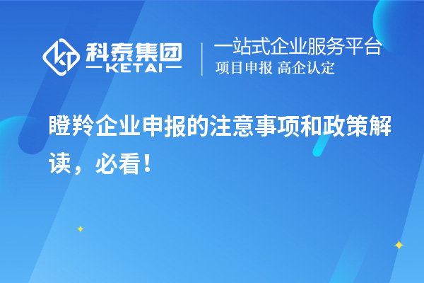 瞪羚企業(yè)申報(bào)的注意事項(xiàng)和政策解讀，必看！